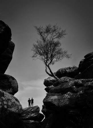 The Listening Tree