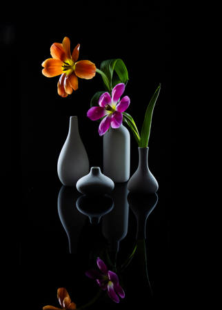 Midnight Wisper