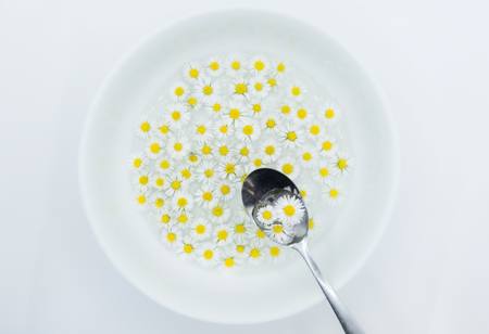 Daisy Delight