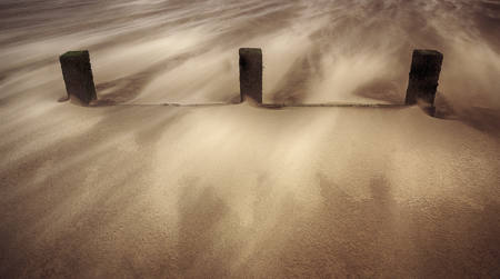 Three In Drifting Sands