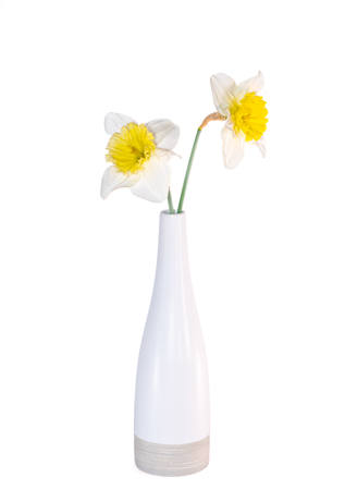 Daffodiles In The Light