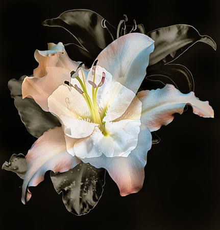 FLEURS 1
