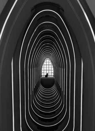 Tunnel View