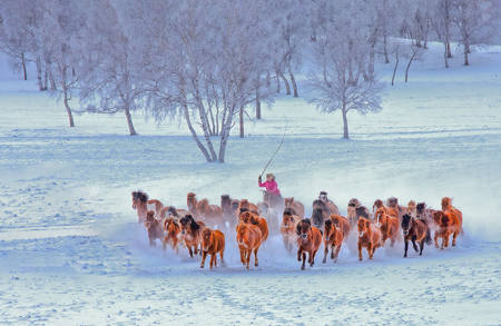 Snowy Forest Galloping Horse