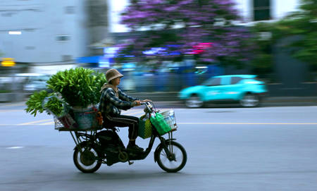 Flowers Arrive In The City Early 3
