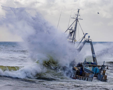 Braving The Tempest