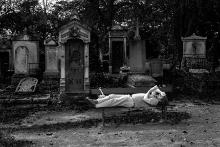 A Resting Place For Many