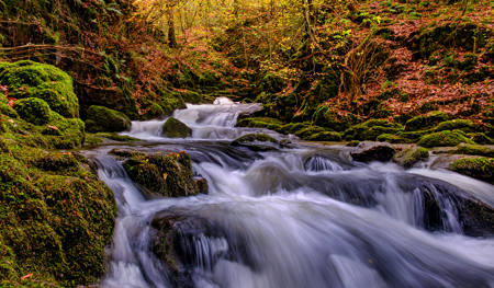 Autumn Flows