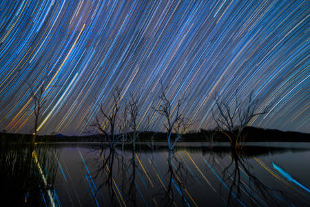 Wyaralong Starry Night