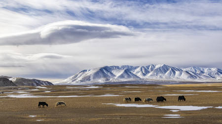 Altai Mountains