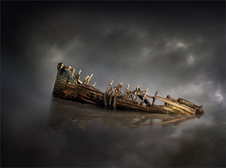 Reflected In Stillness