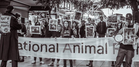 National Animal Rights Day