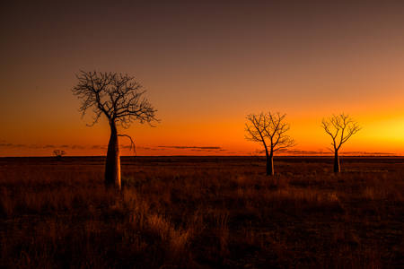 Kimberley Sunset