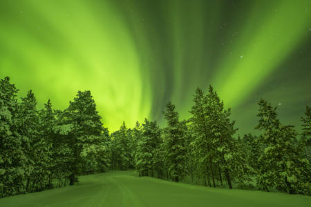 Northern Lights In Ivalo - Finland