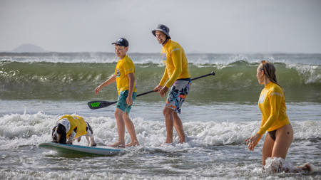 Dogsurfing Family