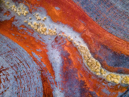 Red Dust And Reeds
