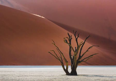 Early Morning Dunes