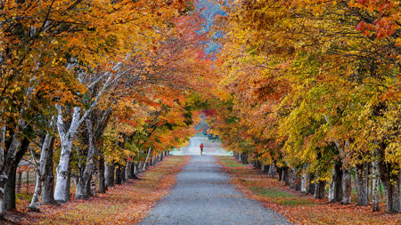 Autumn Run