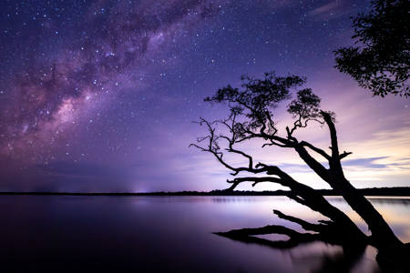 Still Of The Night