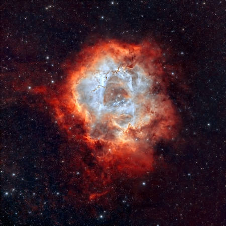 Rosett Nebula