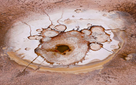 Lake Eyre Hot Springs One