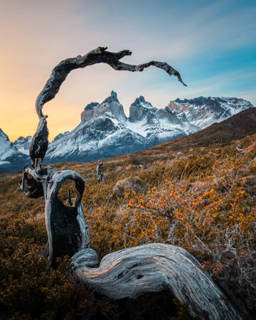 Natures Reach