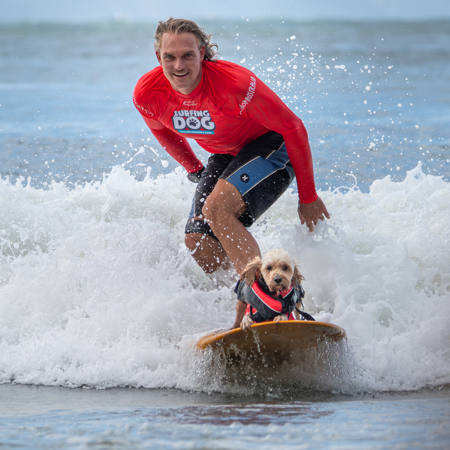 Surfing Dog - And His Dog!