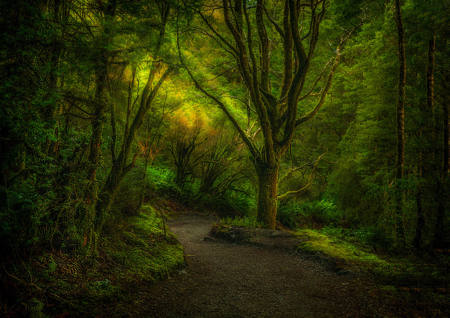 Etheral Peace