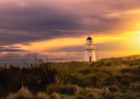 Night Light