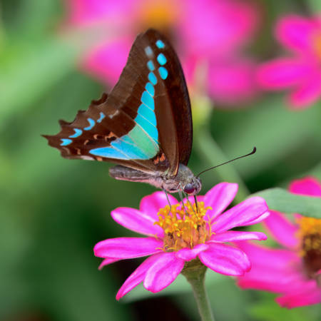 A Riot Of Colour
