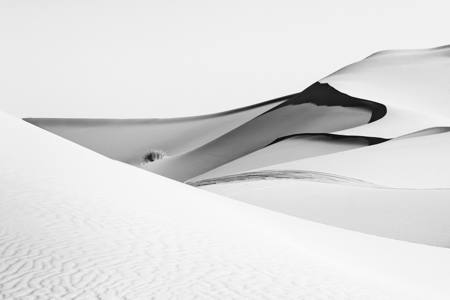 Sublime Sahara