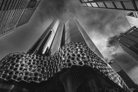 Urban Redwood