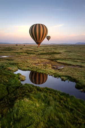 Serengeti Flight