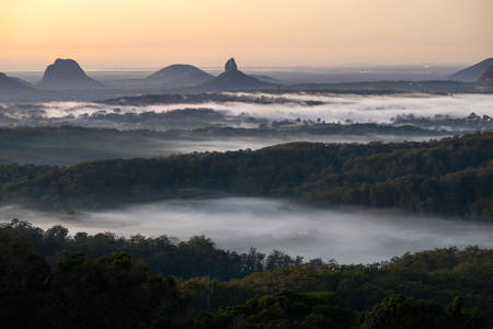 Maleney Fog