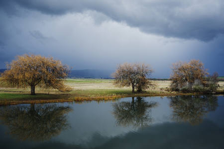 The Storm Cometh, The Macquarie