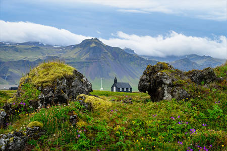 Icelandic Lava Fields