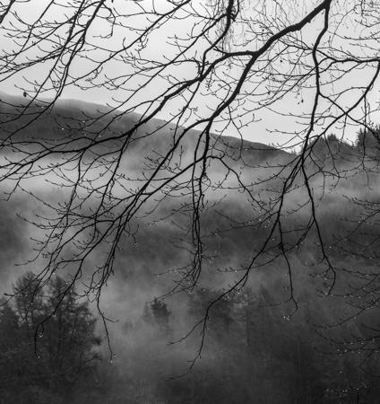 Mist The Droplets
