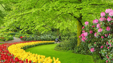 Koekenhof Gardens