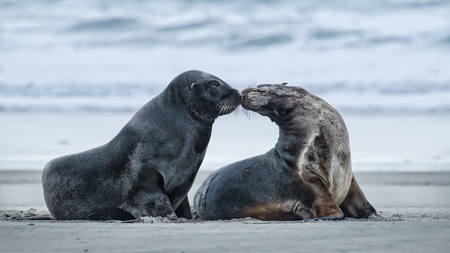 Give Me A Kiss Big Boy-2