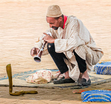 The Man From Marrakesh