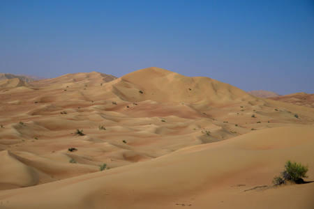 Where The Sand Meets The Sky