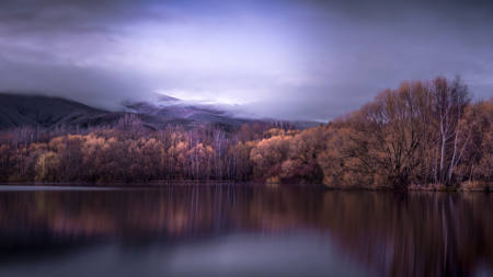 NZ Autumn-8