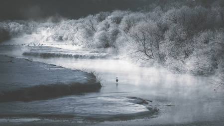 Hokkaido Morning Mist-2