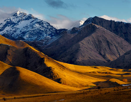 Awatere Gold