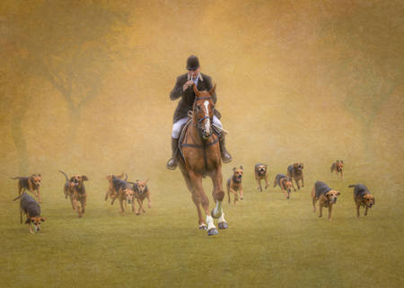 Master Of The Hunt