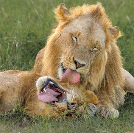 Brotherly Love