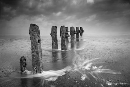 Tidal Mist