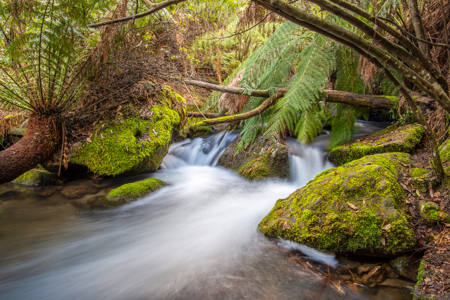 Silky Stream