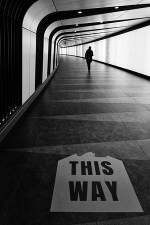 Walk This Way