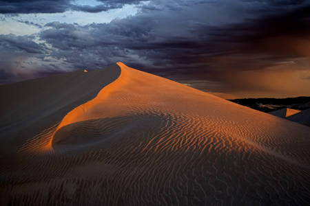 Last Light On Sandhill
